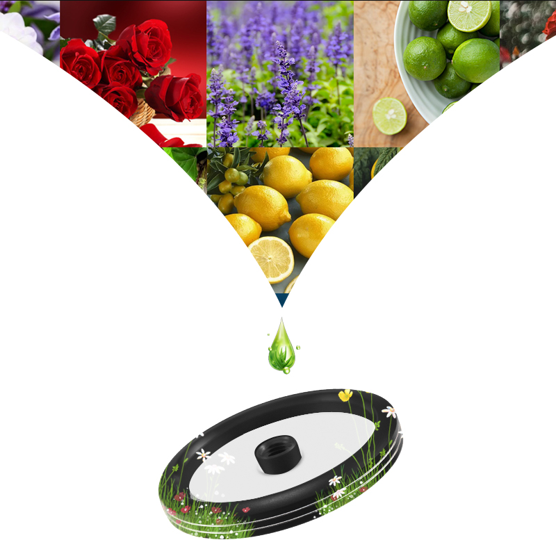 Car Styling Fragrance Diffuser - Perfume Fragrance One 评论和价格