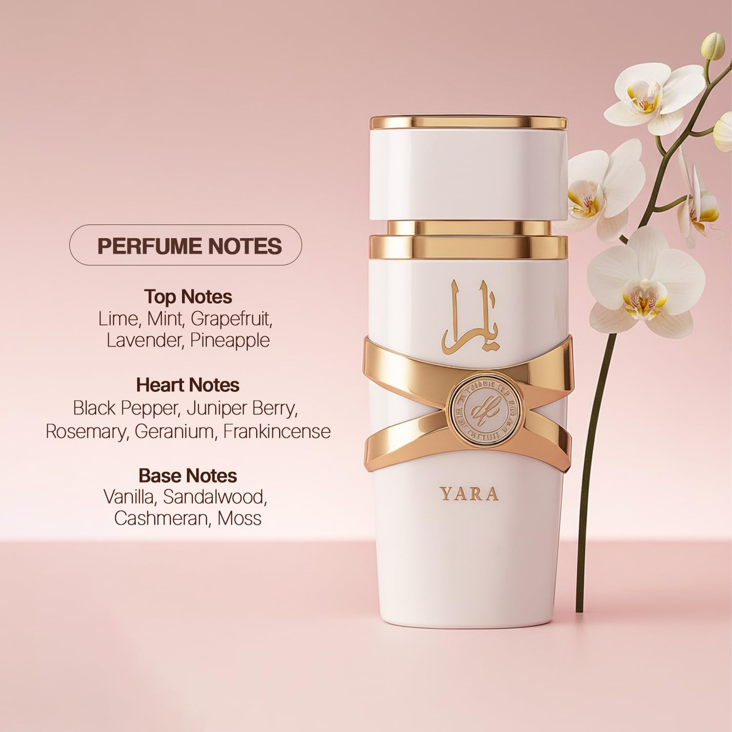 Yara Moi - 3.4 oz Floral, Frui - Yara Perfume Fragrance 评论和价格