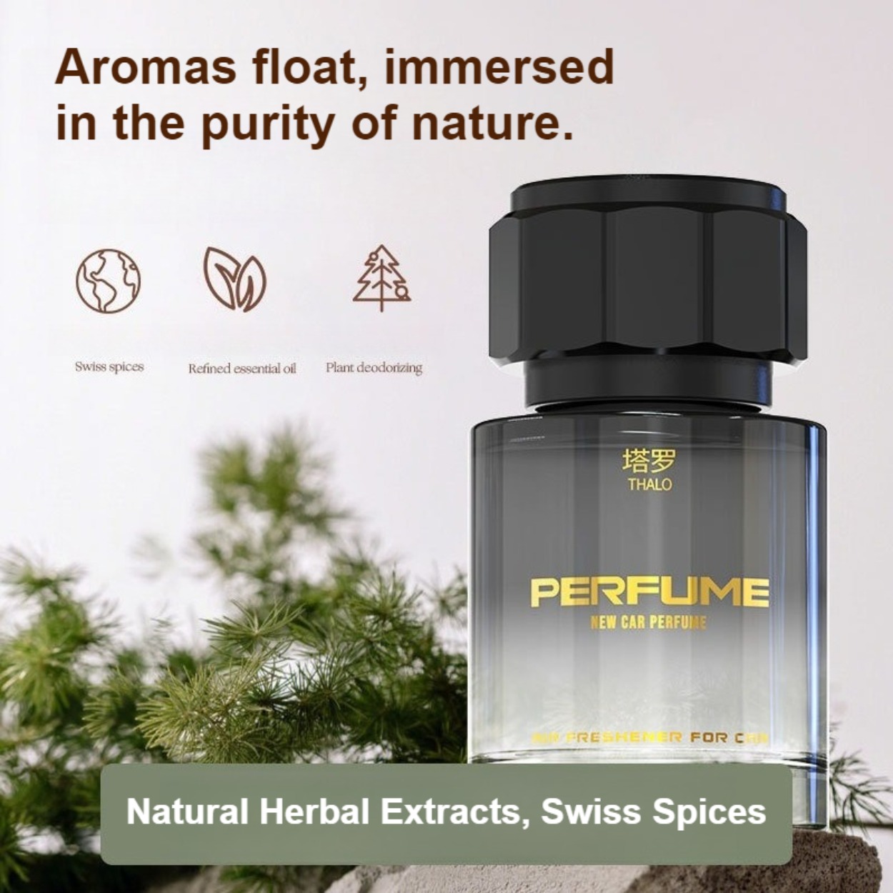 Men's Perfume: Long-Lasting, F - Perfume Long Fragrance 评论和价格